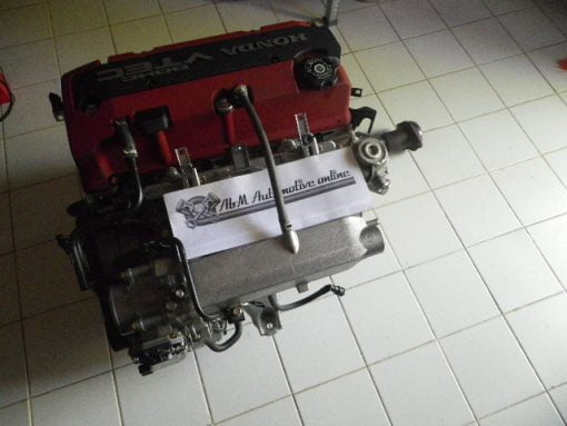 IMGP2585C201